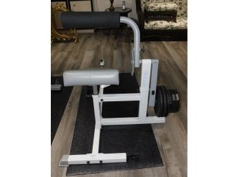 Hoist Fitness Systems #hF603 AB/lower Back Machine With Owners Manual - Weights Included