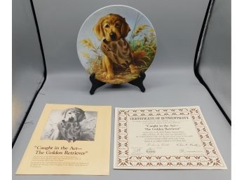 Edwin M. Knowles 'Caught In The Act - Golden Retriever' Decorative Plate With Certificate Of Authenticity