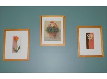 Flower Framed Art Print Set - Set Of Three