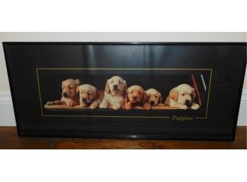 Six Golden Retriever Puppies Framed Poster Print