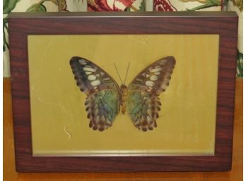 Garry Wade 'Butterfly' Original Art Print On Aluminum Plate
