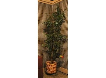 8Ft Faux Potted Ficus Tree (064)