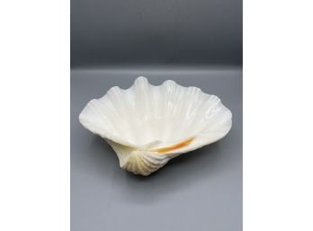 Conch Shell Style Footed Bowl