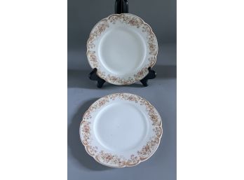 D & C Limoges Porcelain Floral Pattern Plate Set - 3 Total - Made In France