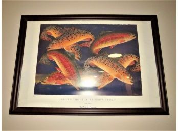 Judy Haas The Nature Company 'brown Trout - Rainbow Trout' Framed Decor
