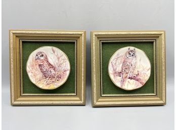 Staffordshire English Bone China Owl Pattern Plates Framed - 2 Total