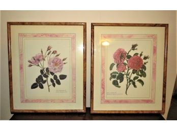 Rosa Damascena 'blush Damask Rose' &  'singleton's Hundred Leaved Rose' Framed - Set Of 2
