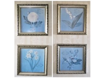 Danhui Flower Of The Month, March, April, May, November Framed Wall Decor - Set Of 4