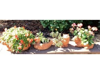 Terra Cotta Outdoor Planters - 4 Piece Lot