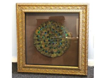 Stunning RARE Peacock Feathers Gold Gilt Framed Decorative Artwork (080)