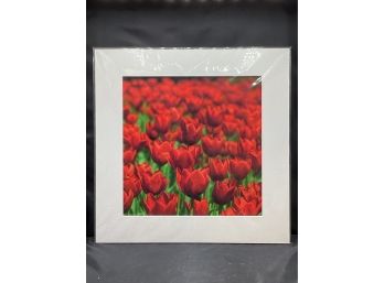 Sea Of Red By Mark Stoltenberg Photography Matted Print