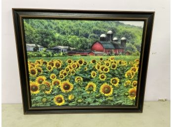 Sunflower Farm By Lori Deiter Framed Print