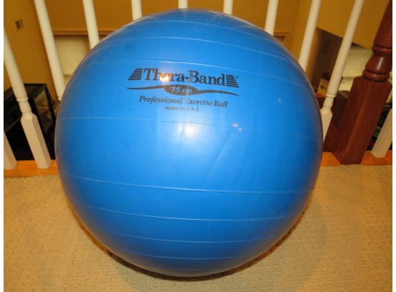 Thera-band 75cm Professional Exercise Ball