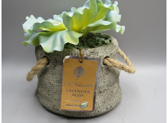 CC Naturals Lavender Bliss Fragrance Table Decor