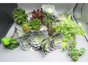 Artificial Succulent Plants - Lot Of 17 - New