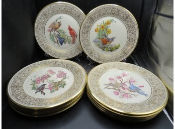 Lenox Collector Bird Plates - Set Of 12 Assorted Designs