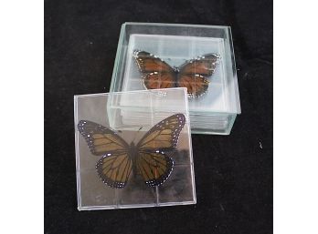 Hand Painted Glass Butterfly Coaster Set (101)