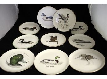Assorted Hand Painted Mallard/Duck Plates, 10 (113)