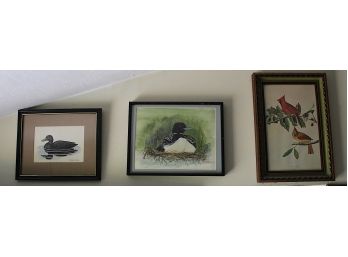 Assorted Duck Framed Artwork (93)
