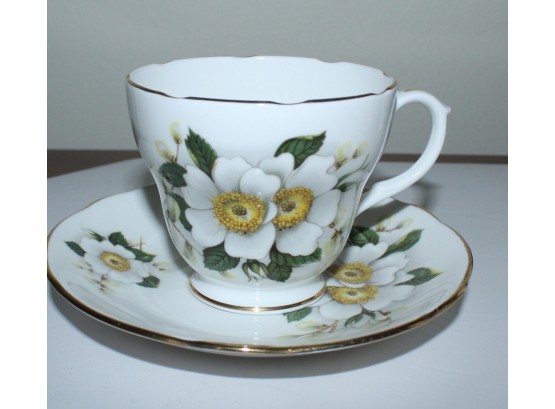 Duchess Bone China Tea Cups & Saucers (O023)