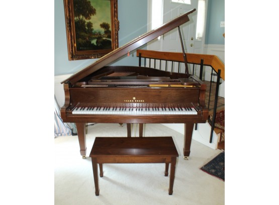 Beautiful Young Chang Baby Grand Piano With Bench (070)