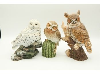 'Majestic Owls Of The Night' Collection Maruri Collection Lot Of 3 Owls (036)