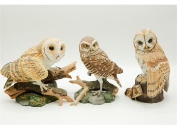 'Majestic Owls Of The Night' Collection Maruri Collection Lot Of 3 Owls (035)