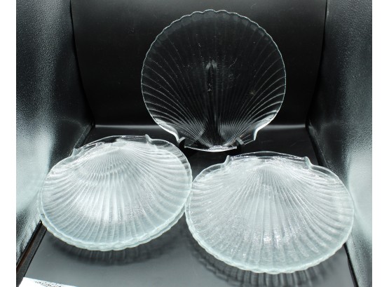 8 Sea Shell Plates (140)