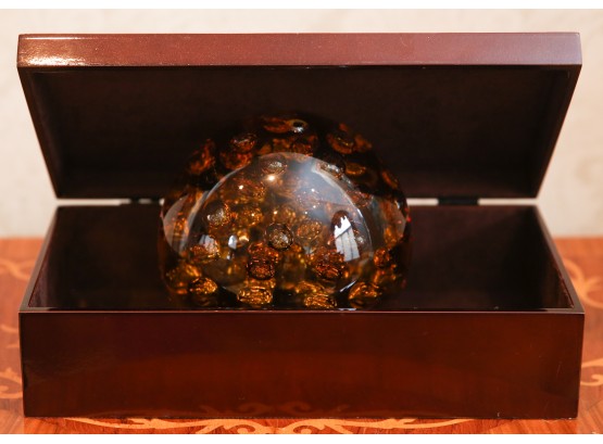 Stunning Glass Paper Weight In Box (2917)