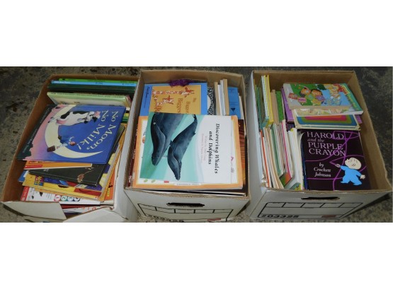 Assorted Young Reader Books