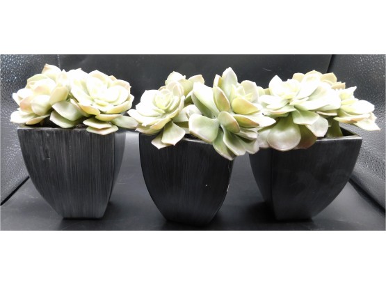 Set Of 3 Crate And Barrel Faux Succulent Plants With Planters