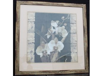 Framed Orchids In Bloom II By John Seba