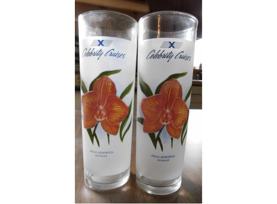 Pair Of Frosted Celebrity Cruise Glasses