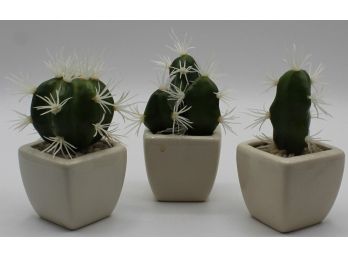 Lot Of Faux Cactuses