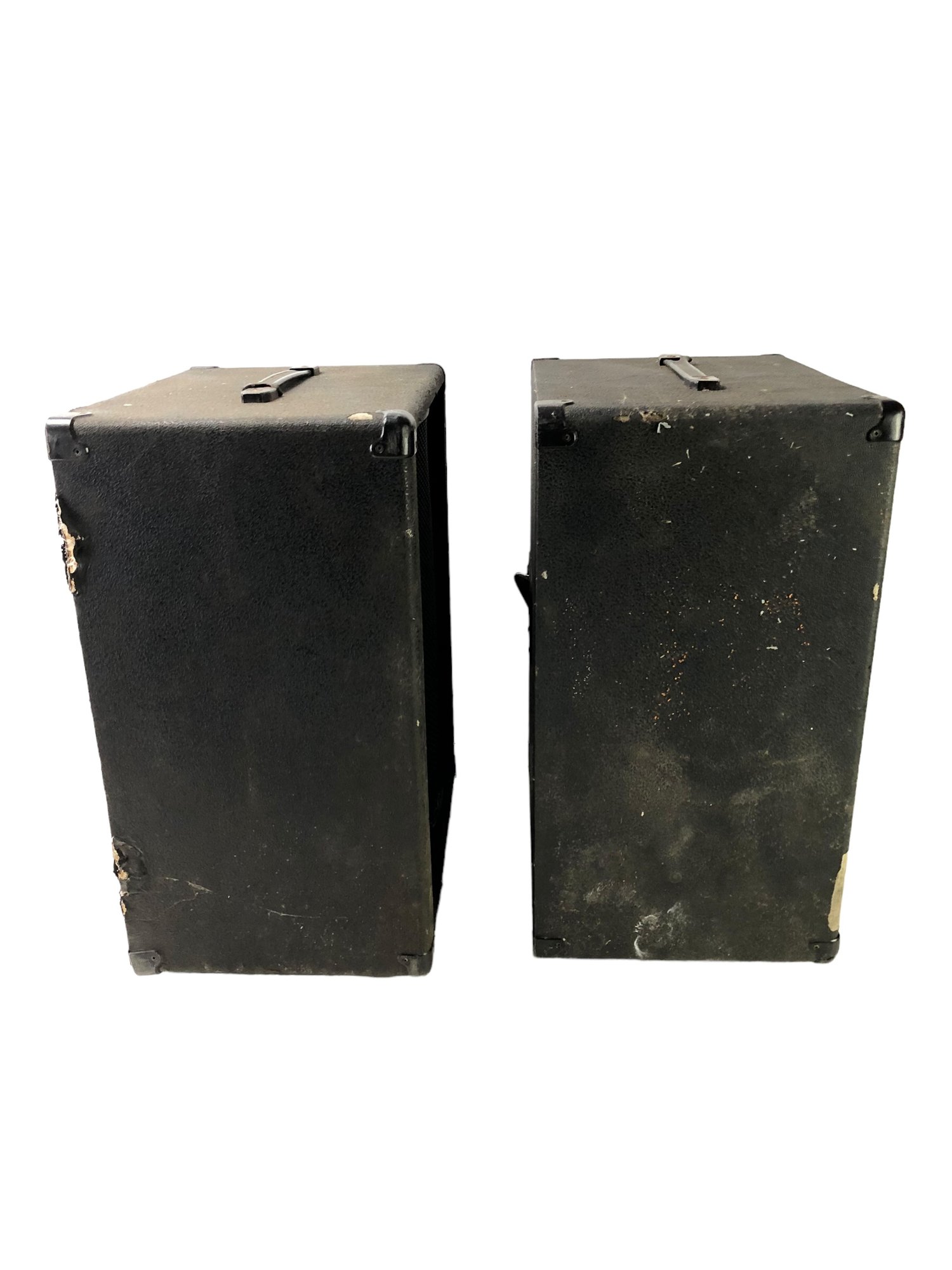 Stageworks LG12 Speakers (Set Of 2) BR 21859