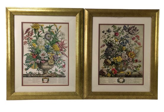 Twelve Months Of Flowers: May & September Framed Art Prints - #B3