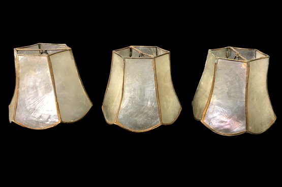 Capiz Shell Clip-On Sconce Lamp Shades (Set Of 3) - #S3-4