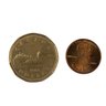 1988 Canada (Loonie) Dollar Coin - #JC-B