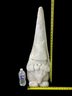 Fiberglass Garden Gnome - #S11-6