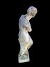 Venus De Milo Concrete Garden Statue - #FF