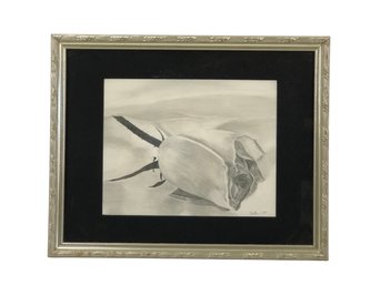 Signed Floral Still Life Graphite Drawing - #BW-A1