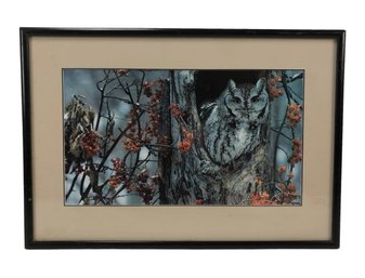 Framed Nature Print, Owl In A Tree - #BW-A9