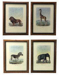 Safari Wildlife Framed Art Prints - #C2