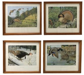 Framed Louis Agassiz Fuertes Art Prints By American Wildlife Institute, Washington D.C. - #A9