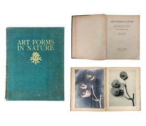 Art Forms In Nature By Professor Karl Blossfeldt, First Edition, A. Zwemmer, London, 1929 - #S8-4