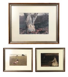 'Frosted Apples,' 'Christina's World' & 'French Twist' Framed Art Prints By Andrew Wyeth - #S18-1