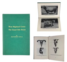 West Highland Cattle: The Grand Olde Breed By John MacKenzie Anderson, Copyright 1986 - #S8-4