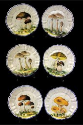 Hand Painted Ceramic Mushroom Dinner Plates, Set Of 6 (Made In Bassano, Italy) - #S14-2