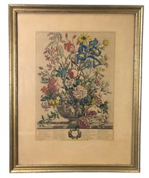'Twelve Months Of Flowers: June' Hand Colored Engraving By Henry Fletcher - #R3