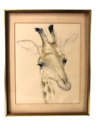 Framed Giraffe Art Print - #A11